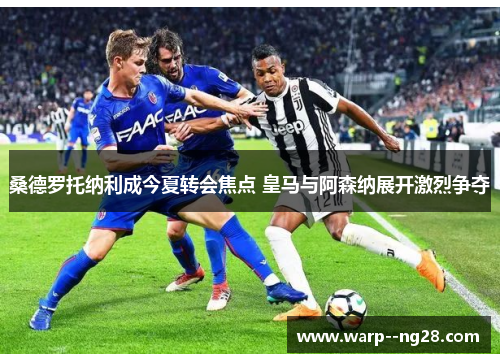 桑德罗托纳利成今夏转会焦点 皇马与阿森纳展开激烈争夺